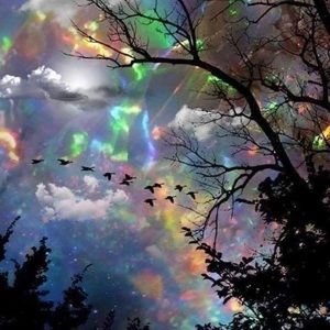 Meet your Posher, Mary jo